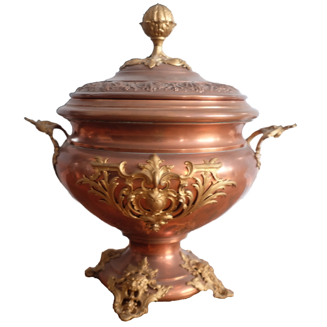 19th Century Copper and Brass Coal Scuttle