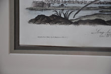 Load image into Gallery viewer, Audubon 1st Ed. Octavo Pl. 355 Long-billed Curlew
